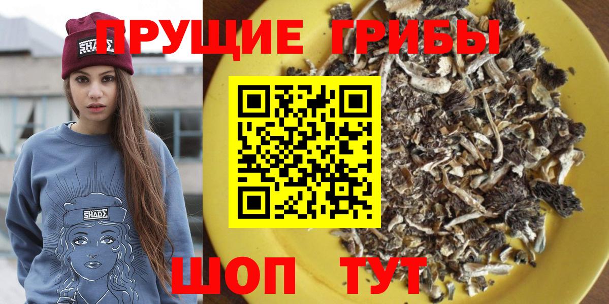 Галлюциногенные грибы Cubensis Городец