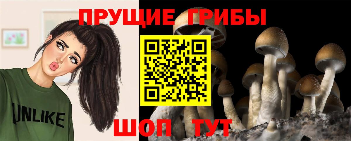 Псилоцибиновые грибы Magic Shrooms  Вход с VPN  Городец  Псилоцибиновые грибы мицелий 